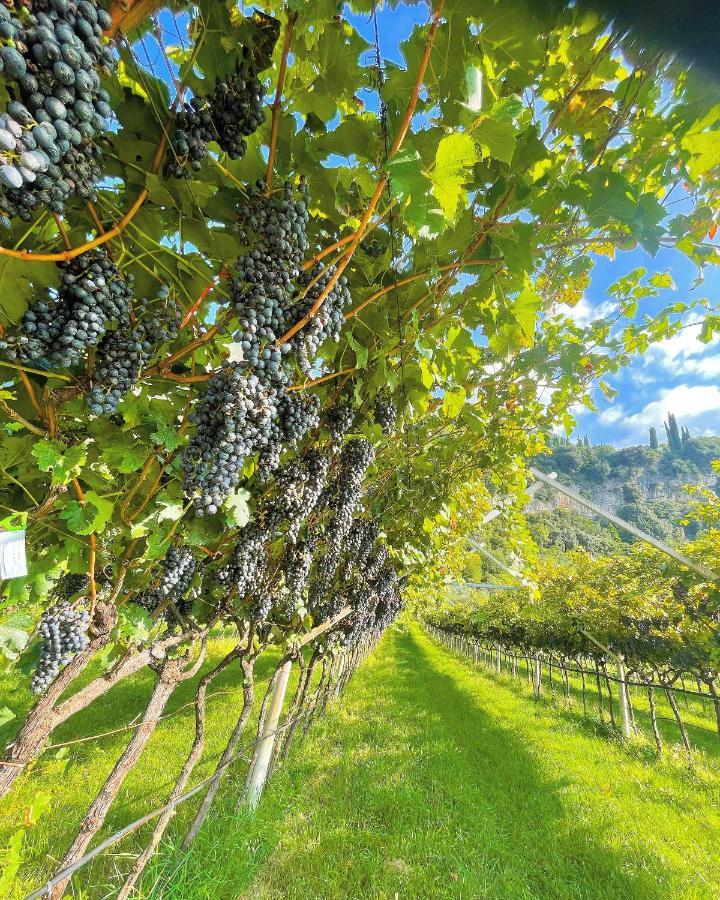 Appartamento Lucia Torbole Sul Garda Exterior foto